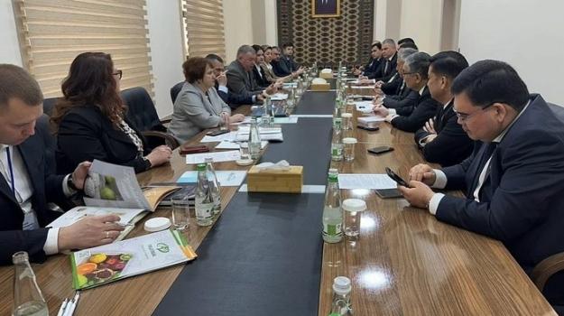 Belarus kompaniýalary türkmen bazaryna çykmaga taýýarlyk görýärler