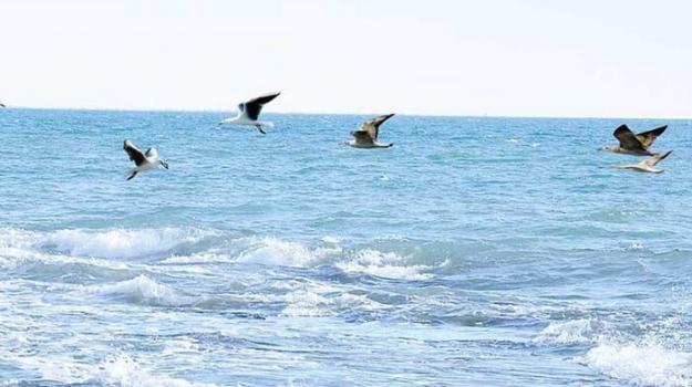 Bütindünýä banky Hazar deňziniň ekoulgamyny dikeltmek boýunça taslamany maliýeleşdirmegi tassyklady