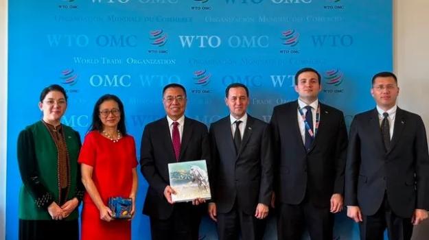 Turkmenistan and the WTO discussed the progress of the accession process