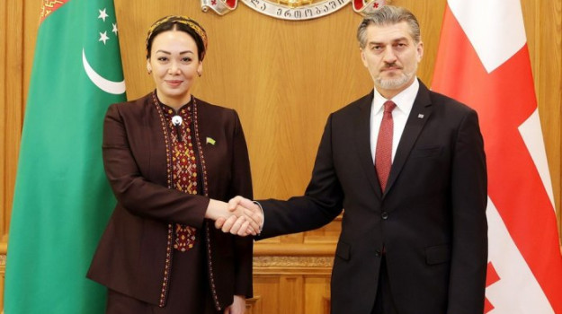 Türkmenistanyň Mejlisiniň Başlygy Gruziýanyň Prezidenti bilen duşuşdy